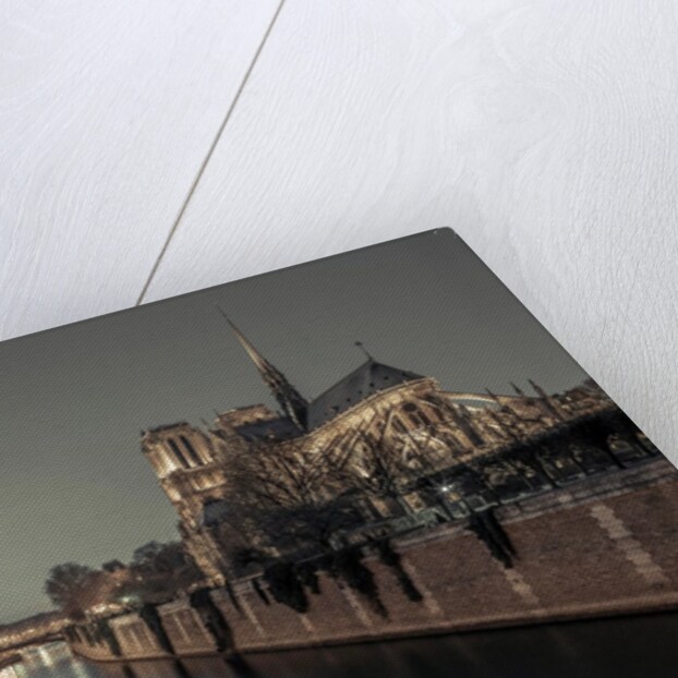 Notre-Dame de Paris, France by Assaf Frank